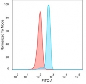 Flow cytometry staining of PFA-fixed human HeLa cells with BOLA3 antibody (clone PCRP-BOLA3-1A5, blue) and isotype control (red).
