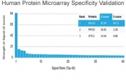 Analysis of HuProt(TM) microarray containing more than 19,000 full-length human proteins using BOLA3 antibody (clone PCRP-BOLA3-1A5). These results demonstrate the foremost specificity of the PCRP-BOLA3-1A5 mAb. Z- and S- score: The Z-score represents the strength of a signal that an antibody (in combination with a fluorescently-tagged anti-IgG secondary Ab) produces when binding to a particular protein on the HuProt(TM) array. Z-scores are described in units of standard deviations (SD's) above the mean value of all signals generated on that array. If the targets on the HuProt(TM) are arranged in descending order of the Z-score, the S-score is the difference (also in units of SD's) between the Z-scores. The S-score therefore represents the relative target specificity of an Ab to its intended target.