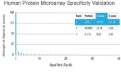 Analysis of HuProt(TM) microarray containing more than 19,000 full-length human proteins using LFA-2 antibody (clone LFA2/7100). These results demonstrate the foremost specificity of the LFA2/7100 mAb. Z- and S- score: The Z-score represents the strength of a signal that an antibody (in combination with a fluorescently-tagged anti-IgG secondary Ab) produces when binding to a particular protein on the HuProt(TM) array. Z-scores are described in units of standard deviations (SD's) above the mean value of all signals generated on that array. If the targets on the HuProt(TM) are arranged in descending order of the Z-score, the S-score is the difference (also in units of SD's) between the Z-scores. The S-score therefore represents the relative target specificity of an Ab to its intended target.