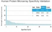 Analysis of HuProt(TM) microarray containing more than 19,000 full-length human proteins using CD2 antibody (clone LFA2/7106). These results demonstrate the foremost specificity of the LFA2/7106 mAb. Z- and S- score: The Z-score represents the strength of a signal that an antibody (in combination with a fluorescently-tagged anti-IgG secondary Ab) produces when binding to a particular protein on the HuProt(TM) array. Z-scores are described in units of standard deviations (SD's) above the mean value of all signals generated on that array. If the targets on the HuProt(TM) are arranged in descending order of the Z-score, the S-score is the difference (also in units of SD's) between the Z-scores. The S-score therefore represents the relative target specificity of an Ab to its intended target.