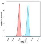 Flow cytometry testing of PFA-fixed human HeLa cells with SFMBT2 antibody (clone PCRP-SFMBT2-1B7) followed by goat anti-mouse IgG-CF488 (blue); Red = unstained cells.