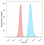 Flow cytometry testing of PFA-fixed human HeLa cells with SFMBT2 antibody (clone PCRP-SFMBT2-2E12) followed by goat anti-mouse IgG-CF488 (blue); Red = unstained cells.