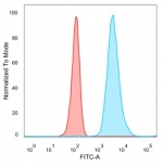 Flow cytometry testing of PFA-fixed human HeLa cells with SFMBT2 antibody (clone PCRP-SFMBT2-2E12) followed by goat anti-mouse IgG-CF488 (blue); Red = unstained cells.