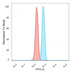 Flow cytometry testing of PFA-fixed human HeLa cells with POGZ antibody (clone PCRP-POGZ-1B2) followed by goat anti-mouse IgG-CF488 (blue), Red = unstained cells.