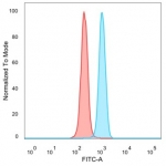 Flow cytometry testing of PFA-fixed human HeLa cells with ZNF239 antibody (clone PCRP-ZNF239-2A10) followed by goat anti-mouse IgG-CF488 (blue), Red = unstained cells.