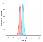 Flow cytometry testing of PFA-fixed human HeLa cells with NC2 alpha antibody (clone PCRP-DRAP1-1A12) followed by goat anti-mouse IgG-CF488 (blue); Red = unstained cells.