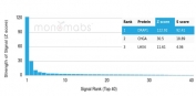 Analysis of a HuProt(TM) microarray containing more than 19,000 full-length human proteins using NC2 alpha antibody (clone PCRP-DRAP1-1A12). Z- and S- Score: The Z-score represents the strength of a signal that a monoclonal antibody (in combination with a fluorescently-tagged anti-IgG secondary antibody) produces when binding to a particular protein on the HuProt(TM) array. Z-scores are described in units of standard deviations (SD's) above the mean value of all signals generated on that array. If targets on HuProt(TM) are arranged in descending order of the Z-score, the S-score is the difference (also in units of SD's) between the Z-score. S-score therefore represents the relative target specificity of a mAb to its intended target. A mAb is considered to specific to its intended target, if the mAb has an S-score of at least 2.5. For example, if a mAb binds to protein X with a Z-score of 43 and to protein Y with a Z-score of 14, then the S-score for the binding of that mAb to protein X is equal to 29.