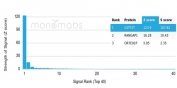 Analysis of a HuProt(TM) microarray containing more than 19,000 full-length human proteins using DRAP1 antibody (clone PCRP-DRAP1-1A8). Z- and S- Score: The Z-score represents the strength of a signal that a monoclonal antibody (in combination with a fluorescently-tagged anti-IgG secondary antibody) produces when binding to a particular protein on the HuProt(TM) array. Z-scores are described in units of standard deviations (SD's) above the mean value of all signals generated on that array. If targets on HuProt(TM) are arranged in descending order of the Z-score, the S-score is the difference (also in units of SD's) between the Z-score. S-score therefore represents the relative target specificity of a mAb to its intended target. A mAb is considered to specific to its intended target, if the mAb has an S-score of at least 2.5. For example, if a mAb binds to protein X with a Z-score of 43 and to protein Y with a Z-score of 14, then the S-score for the binding of that mAb to protein X is equal to 29.