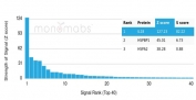 Analysis of a HuProt(TM) microarray containing more than 19,000 full-length human proteins using IL-18 antibody (clone IL18/4628). Z- and S- Score: The Z-score represents the strength of a signal that a monoclonal antibody (in combination with a fluorescently-tagged anti-IgG secondary antibody) produces when binding to a particular protein on the HuProt(TM) array. Z-scores are described in units of standard deviations (SD's) above the mean value of all signals generated on that array. If targets on HuProt(TM) are arranged in descending order of the Z-score, the S-score is the difference (also in units of SD's) between the Z-score. S-score therefore represents the relative target specificity of a mAb to its intended target. A mAb is considered to specific to its intended target, if the mAb has an S-score of at least 2.5. For example, if a mAb binds to protein X with a Z-score of 43 and to protein Y with a Z-score of 14, then the S-score for the binding of that mAb to protein X is equal to 29.