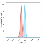 Flow cytometry testing of PFA-fixed human HeLa cells with ZNF202 antibody (clone PCRP-ZNF202-1C4) followed by goat anti-mouse IgG-CF488 (blue); Red = unstained cells.