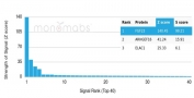 Analysis of a HuProt(TM) microarray containing more than 19,000 full-length human proteins using FGF23 antibody (clone FGF23/6404). Z- and S- Score: The Z-score represents the strength of a signal that a monoclonal antibody (in combination with a fluorescently-tagged anti-IgG secondary antibody) produces when binding to a particular protein on the HuProt(TM) array. Z-scores are described in units of standard deviations (SD's) above the mean value of all signals generated on that array. If targets on HuProt(TM) are arranged in descending order of the Z-score, the S-score is the difference (also in units of SD's) between the Z-score. S-score therefore represents the relative target specificity of a mAb to its intended target. A mAb is considered to specific to its intended target, if the mAb has an S-score of at least 2.5. For example, if a mAb binds to protein X with a Z-score of 43 and to protein Y with a Z-score of 14, then the S-score for the binding of that mAb to protein X is equal to 29.