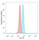 Flow cytometry testing of PFA-fixed human HeLa cells with HDAC7 antibody (clone PCRP-HDAC7-1B6) followed by goat anti-mouse IgG-CF488 (blue); Red = unstained cells.