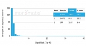 Analysis of a HuProt(TM) microarray containing more than 19,000 full-length human proteins using FGF23 antibody (clone FGF23/6408). Z- and S- Score: The Z-score represents the strength of a signal that a monoclonal antibody (in combination with a fluorescently-tagged anti-IgG secondary antibody) produces when binding to a particular protein on the HuProt(TM) array. Z-scores are described in units of standard deviations (SD's) above the mean value of all signals generated on that array. If targets on HuProt(TM) are arranged in descending order of the Z-score, the S-score is the difference (also in units of SD's) between the Z-score. S-score therefore represents the relative target specificity of a mAb to its intended target. A mAb is considered to specific to its intended target, if the mAb has an S-score of at least 2.5. For example, if a mAb binds to protein X with a Z-score of 43 and to protein Y with a Z-score of 14, then the S-score for the binding of that mAb to protein X is equal to 29.