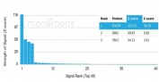 Analysis of a HuProt(TM) microarray containing more than 19,000 full-length human proteins using Periostin antibody (clone POSTN/3504). Z- and S- Score: The Z-score represents the strength of a signal that a monoclonal antibody (in combination with a fluorescently-tagged anti-IgG secondary antibody) produces when binding to a particular protein on the HuProt(TM) array. Z-scores are described in units of standard deviations (SD's) above the mean value of all signals generated on that array. If targets on HuProt(TM) are arranged in descending order of the Z-score, the S-score is the difference (also in units of SD's) between the Z-score. S-score therefore represents the relative target specificity of a mAb to its intended target. A mAb is considered to specific to its intended target, if the mAb has an S-score of at least 2.5. For example, if a mAb binds to protein X with a Z-score of 43 and to protein Y with a Z-score of 14, then the S-score for the binding of that mAb to protein X is equal to 29.