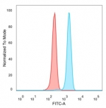 Flow cytometry testing of PFA-fixed human HeLa cells with C/EBP epsilon antibody (clone PCRP-CEBPE-1G12) followed by goat anti-mouse IgG-CF488 (blue); Red = unstained cells.