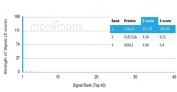 Analysis of a HuProt(TM) microarray containing more than 19,000 full-length human proteins using Galectin-3 antibody (clone LGALS3/6583). Z- and S- Score: The Z-score represents the strength of a signal that a monoclonal antibody (in combination with a fluorescently-tagged anti-IgG secondary antibody) produces when binding to a particular protein on the HuProt(TM) array. Z-scores are described in units of standard deviations (SD's) above the mean value of all signals generated on that array. If targets on HuProt(TM) are arranged in descending order of the Z-score, the S-score is the difference (also in units of SD's) between the Z-score. S-score therefore represents the relative target specificity of a mAb to its intended target. A mAb is considered to specific to its intended target, if the mAb has an S-score of at least 2.5. For example, if a mAb binds to protein X with a Z-score of 43 and to protein Y with a Z-score of 14, then the S-score for the binding of that mAb to protein X is equal to 29.