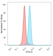 Flow cytometry testing of PFA-fixed human HeLa cells with SNW1 antibody (clone PCRP-SNW1-1C12) followed by goat anti-mouse IgG-CF488 (blue), Red = unstained cells.
