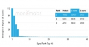 Analysis of a HuProt(TM) microarray containing more than 19,000 full-length human proteins using TGF beta 3 antibody (clone TGFB3/4801). Z- and S- Score: The Z-score represents the strength of a signal that a monoclonal antibody (in combination with a fluorescently-tagged anti-IgG secondary antibody) produces when binding to a particular protein on the HuProt(TM) array. Z-scores are described in units of standard deviations (SD's) above the mean value of all signals generated on that array. If targets on HuProt(TM) are arranged in descending order of the Z-score, the S-score is the difference (also in units of SD's) between the Z-score. S-score therefore represents the relative target specificity of a mAb to its intended target. A mAb is considered to specific to its intended target, if the mAb has an S-score of at least 2.5. For example, if a mAb binds to protein X with a Z-score of 43 and to protein Y with a Z-score of 14, then the S-score for the binding of that mAb to protein X is equal to 29.