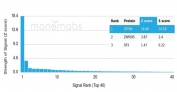 Analysis of a HuProt(TM) microarray containing more than 19,000 full-length human proteins using ZFP90 antibody (clone PCRP-ZFP90-1C5). Z- and S- Score: The Z-score represents the strength of a signal that a monoclonal antibody (in combination with a fluorescently-tagged anti-IgG secondary antibody) produces when binding to a particular protein on the HuProt(TM) array. Z-scores are described in units of standard deviations (SD's) above the mean value of all signals generated on that array. If targets on HuProt(TM) are arranged in descending order of the Z-score, the S-score is the difference (also in units of SD's) between the Z-score. S-score therefore represents the relative target specificity of a mAb to its intended target. A mAb is considered to specific to its intended target, if the mAb has an S-score of at least 2.5. For example, if a mAb binds to protein X with a Z-score of 43 and to protein Y with a Z-score of 14, then the S-score for the binding of that mAb to protein X is equal to 29.
