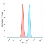 Flow cytometry testing of PFA-fixed human HeLa cells with ZNF232 antibody (clone PCRP-ZNF232-2B3) followed by goat anti-mouse IgG-CF488 (blue), Red = unstained cells.