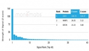 Analysis of a HuProt(TM) microarray containing more than 19,000 full-length human proteins using GCSF antibody (clone CSF3/4594). Z- and S- Score: The Z-score represents the strength of a signal that a monoclonal antibody (in combination with a fluorescently-tagged anti-IgG secondary antibody) produces when binding to a particular protein on the HuProt(TM) array. Z-scores are described in units of standard deviations (SD's) above the mean value of all signals generated on that array. If targets on HuProt(TM) are arranged in descending order of the Z-score, the S-score is the difference (also in units of SD's) between the Z-score. S-score therefore represents the relative target specificity of a mAb to its intended target. A mAb is considered to specific to its intended target, if the mAb has an S-score of at least 2.5. For example, if a mAb binds to protein X with a Z-score of 43 and to protein Y with a Z-score of 14, then the S-score for the binding of that mAb to protein X is equal to 29.