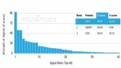 Analysis of a HuProt(TM) microarray containing more than 19,000 full-length human proteins using G-CSF antibody (clone CSF3/4597). Z- and S- Score: The Z-score represents the strength of a signal that a monoclonal antibody (in combination with a fluorescently-tagged anti-IgG secondary antibody) produces when binding to a particular protein on the HuProt(TM) array. Z-scores are described in units of standard deviations (SD's) above the mean value of all signals generated on that array. If targets on HuProt(TM) are arranged in descending order of the Z-score, the S-score is the difference (also in units of SD's) between the Z-score. S-score therefore represents the relative target specificity of a mAb to its intended target. A mAb is considered to specific to its intended target, if the mAb has an S-score of at least 2.5. For example, if a mAb binds to protein X with a Z-score of 43 and to protein Y with a Z-score of 14, then the S-score for the binding of that mAb to protein X is equal to 29.