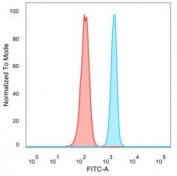 Flow cytometry testing of PFA-fixed human HeLa cells with Upstream stimulatory factor 2 antibody (clone PCRP-USF2-1A7) followed by goat anti-mouse IgG-CF488 (blue); Red = unstained cells.