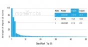 Analysis of a HuProt(TM) microarray containing more than 19,000 full-length human proteins using CEACAM1 antibody (clone CEACAM1/4840). Z- and S- Score: The Z-score represents the strength of a signal that a monoclonal antibody (in combination with a fluorescently-tagged anti-IgG secondary antibody) produces when binding to a particular protein on the HuProt(TM) array. Z-scores are described in units of standard deviations (SD's) above the mean value of all signals generated on that array. If targets on HuProt(TM) are arranged in descending order of the Z-score, the S-score is the difference (also in units of SD's) between the Z-score. S-score therefore represents the relative target specificity of a mAb to its intended target. A mAb is considered to specific to its intended target, if the mAb has an S-score of at least 2.5. For example, if a mAb binds to protein X with a Z-score of 43 and to protein Y with a Z-score of 14, then the S-score for the binding of that mAb to protein X is equal to 29.