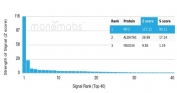 Analysis of a HuProt(TM) microarray containing more than 19,000 full-length human proteins using Interferon regulatory factor 3 antibody (clone PCRP-IRF3-2F9). Z- and S- Score: The Z-score represents the strength of a signal that a monoclonal antibody (in combination with a fluorescently-tagged anti-IgG secondary antibody) produces when binding to a particular protein on the HuProt(TM) array. Z-scores are described in units of standard deviations (SD's) above the mean value of all signals generated on that array. If targets on HuProt(TM) are arranged in descending order of the Z-score, the S-score is the difference (also in units of SD's) between the Z-score. S-score therefore represents the relative target specificity of a mAb to its intended target. A mAb is considered to specific to its intended target, if the mAb has an S-score of at least 2.5. For example, if a mAb binds to protein X with a Z-score of 43 and to protein Y with a Z-score of 14, then the S-score for the binding of that mAb to protein X is equal to 29.