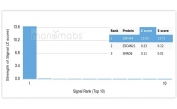Analysis of a HuProt(TM) microarray containing more than 19,000 full-length human proteins using ZNF444 antibody (clone PCRP-ZNF444-1E11). Z- and S- Score: The Z-score represents the strength of a signal that a monoclonal antibody (in combination with a fluorescently-tagged anti-IgG secondary antibody) produces when binding to a particular protein on the HuProt(TM) array. Z-scores are described in units of standard deviations (SD's) above the mean value of all signals generated on that array. If targets on HuProt(TM) are arranged in descending order of the Z-score, the S-score is the difference (also in units of SD's) between the Z-score. S-score therefore represents the relative target specificity of a mAb to its intended target. A mAb is considered to specific to its intended target, if the mAb has an S-score of at least 2.5. For example, if a mAb binds to protein X with a Z-score of 43 and to protein Y with a Z-score of 14, then the S-score for the binding of that mAb to protein X is equal to 29.