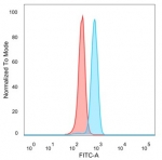 Flow cytometry testing of PFA-fixed human HeLa cells with ZNF495 antibody (clone PCRP-ZSCAN5A-2H4) followed by goat anti-mouse IgG-CF488 (blue), Red = unstained cells.