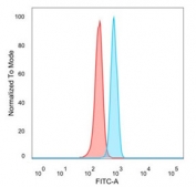 Flow cytometry testing of PFA-fixed human HeLa cells with Myeloid zinc finger 1 antibody (clone PCRP-MZF1-1E8) followed by goat anti-mouse IgG-CF488 (blue), Red = unstained cells.