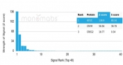 Analysis of a HuProt(TM) microarray containing more than 19,000 full-length human proteins using MCAK antibody (clone KIF2C/6522). Z- and S- Score: The Z-score represents the strength of a signal that a monoclonal antibody (in combination with a fluorescently-tagged anti-IgG secondary antibody) produces when binding to a particular protein on the HuProt(TM) array. Z-scores are described in units of standard deviations (SD's) above the mean value of all signals generated on that array. If targets on HuProt(TM) are arranged in descending order of the Z-score, the S-score is the difference (also in units of SD's) between the Z-score. S-score therefore represents the relative target specificity of a mAb to its intended target. A mAb is considered to specific to its intended target, if the mAb has an S-score of at least 2.5. For example, if a mAb binds to protein X with a Z-score of 43 and to protein Y with a Z-score of 14, then the S-score for the binding of that mAb to protein X is equal to 29.