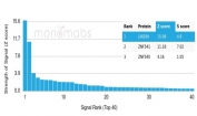 Analysis of a HuProt(TM) microarray containing more than 19,000 full-length human proteins using LIN28A antibody (clone PCRP-LIN28A-1E2). Z- and S- Score: The Z-score represents the strength of a signal that a monoclonal antibody (in combination with a fluorescently-tagged anti-IgG secondary antibody) produces when binding to a particular protein on the HuProt(TM) array. Z-scores are described in units of standard deviations (SD's) above the mean value of all signals generated on that array. If targets on HuProt(TM) are arranged in descending order of the Z-score, the S-score is the difference (also in units of SD's) between the Z-score. S-score therefore represents the relative target specificity of a mAb to its intended target. A mAb is considered to specific to its intended target, if the mAb has an S-score of at least 2.5. For example, if a mAb binds to protein X with a Z-score of 43 and to protein Y with a Z-score of 14, then the S-score for the binding of that mAb to protein X is equal to 29.