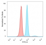 Flow cytometry testing of PFA-fixed human HeLa cells with Lysine-Specific Demethylase 1 antibody (clone PCRP-KDM1A-1A10) followed by goat anti-mouse IgG-CF488 (blue); Red = unstained cells.