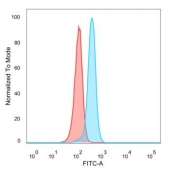 Flow cytometry testing of PFA-fixed human HeLa cells with CREB3L4 antibody (clone PCRP-CREB3L4-1A3) followed by goat anti-mouse IgG-CF488 (blue); Red = unstained cells.