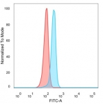 Flow cytometry testing of PFA-fixed human HeLa cells with Hepatoma Derived Growth Factor antibody (clone PCRP-HDGF-1D1) followed by goat anti-mouse IgG-CF488 (blue); Red = unstained cells.