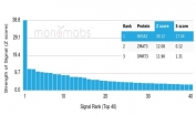 Analysis of a HuProt(TM) microarray containing more than 19,000 full-length human proteins using NR5A2 antibody (clone PCRP-NR5A2-1B8). Z- and S- Score: The Z-score represents the strength of a signal that a monoclonal antibody (in combination with a fluorescently-tagged anti-IgG secondary antibody) produces when binding to a particular protein on the HuProt(TM) array. Z-scores are described in units of standard deviations (SD's) above the mean value of all signals generated on that array. If targets on HuProt(TM) are arranged in descending order of the Z-score, the S-score is the difference (also in units of SD's) between the Z-score. S-score therefore represents the relative target specificity of a mAb to its intended target. A mAb is considered to specific to its intended target, if the mAb has an S-score of at least 2.5. For example, if a mAb binds to protein X with a Z-score of 43 and to protein Y with a Z-score of 14, then the S-score for the binding of that mAb to protein X is equal to 29.