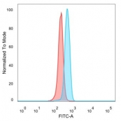 Flow cytometry testing of PFA-fixed human HeLa cells with ZNF343 antibody (clone PCRP-ZNF343-4F8) followed by goat anti-mouse IgG-CF488 (blue), Red = unstained cells.