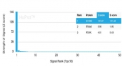 Analysis of a HuProt(TM) microarray containing more than 19,000 full-length human proteins using S100B antibody (clone S100B/4159). Z- and S- Score: The Z-score represents the strength of a signal that a monoclonal antibody (in combination with a fluorescently-tagged anti-IgG secondary antibody) produces when binding to a particular protein on the HuProt(TM) array. Z-scores are described in units of standard deviations (SD's) above the mean value of all signals generated on that array. If targets on HuProt(TM) are arranged in descending order of the Z-score, the S-score is the difference (also in units of SD's) between the Z-score. S-score therefore represents the relative target specificity of a mAb to its intended target. A mAb is considered to be specific to its intended target, if the mAb has an S-score of at least 2.5. For example, if a mAb binds to protein X with a Z-score of 43 and to protein Y with a Z-score of 14, then the S-score for the binding of that mAb to protein X is equal to 29.