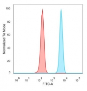 Flow cytometry testing of PFA-fixed human HeLa cells with CEBPZ antibody (clone PCRP-CEBPZ-2D8) followed by goat anti-mouse IgG-CF488 (blue); Red = unstained cells.