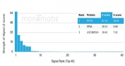 Analysis of a HuProt(TM) microarray containing more than 19,000 full-length human proteins using MYCN antibody (clone PCRP-MYCN-1A9). Z- and S- Score: The Z-score represents the strength of a signal that a monoclonal antibody (in combination with a fluorescently-tagged anti-IgG secondary antibody) produces when binding to a particular protein on the HuProt(TM) array. Z-scores are described in units of standard deviations (SD's) above the mean value of all signals generated on that array. If targets on HuProt(TM) are arranged in descending order of the Z-score, the S-score is the difference (also in units of SD's) between the Z-score. S-score therefore represents the relative target specificity of a mAb to its intended target. A mAb is considered to specific to its intended target, if the mAb has an S-score of at least 2.5. For example, if a mAb binds to protein X with a Z-score of 43 and to protein Y with a Z-score of 14, then the S-score for the binding of that mAb to protein X is equal to 29.