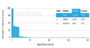 Analysis of a HuProt(TM) microarray containing more than 19,000 full-length human proteins using IL-1RA antibody (clone IL1RA/4712). Z- and S- Score: The Z-score represents the strength of a signal that a monoclonal antibody (in combination with a fluorescently-tagged anti-IgG secondary antibody) produces when binding to a particular protein on the HuProt(TM) array. Z-scores are described in units of standard deviations (SD's) above the mean value of all signals generated on that array. If targets on HuProt(TM) are arranged in descending order of the Z-score, the S-score is the difference (also in units of SD's) between the Z-score. S-score therefore represents the relative target specificity of a mAb to its intended target. A mAb is considered to specific to its intended target, if the mAb has an S-score of at least 2.5. For example, if a mAb binds to protein X with a Z-score of 43 and to protein Y with a Z-score of 14, then the S-score for the binding of that mAb to protein X is equal to 29.