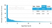 Analysis of a HuProt(TM) microarray containing more than 19,000 full-length human proteins using Interleukin-1 Receptor Antagonist antibody (clone IL1RA/4715). Z- and S- Score: The Z-score represents the strength of a signal that a monoclonal antibody (in combination with a fluorescently-tagged anti-IgG secondary antibody) produces when binding to a particular protein on the HuProt(TM) array. Z-scores are described in units of standard deviations (SD's) above the mean value of all signals generated on that array. If targets on HuProt(TM) are arranged in descending order of the Z-score, the S-score is the difference (also in units of SD's) between the Z-score. S-score therefore represents the relative target specificity of a mAb to its intended target. A mAb is considered to specific to its intended target, if the mAb has an S-score of at least 2.5. For example, if a mAb binds to protein X with a Z-score of 43 and to protein Y with a Z-score of 14, then the S-score for the binding of that mAb to protein X is equal to 29.