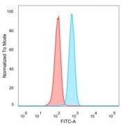 Flow cytometry testing of PFA-fixed human HeLa cells with ZXDC antibody (clone PCRP-ZXDC-2B5) followed by goat anti-mouse IgG-CF488 (blue); Red = unstained cells.