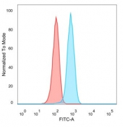 Flow cytometry testing of PFA-fixed human MCF-7 cells with Lactoferrin antibody (clone LTF/4072) followed by goat anti-mouse IgG-CF488 (blue); isotype control (red).