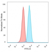 Flow cytometry testing of PFA-fixed human MCF-7 cells with Lactoferrin antibody (clone LTF/4072) followed by goat anti-mouse IgG-CF488 (blue); isotype control (red).