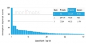 Analysis of a HuProt(TM) microarray containing more than 19,000 full-length human proteins using IL-2 antibody (clone IL2/4984). Z- and S- Score: The Z-score represents the strength of a signal that a monoclonal antibody (in combination with a fluorescently-tagged anti-IgG secondary antibody) produces when binding to a particular protein on the HuProt(TM) array. Z-scores are described in units of standard deviations (SD's) above the mean value of all signals generated on that array. If targets on HuProt(TM) are arranged in descending order of the Z-score, the S-score is the difference (also in units of SD's) between the Z-score. S-score therefore represents the relative target specificity of a mAb to its intended target. A mAb is considered to be specific to its intended target, if the mAb has an S-score of at least 2.5. For example, if a mAb binds to protein X with a Z-score of 43 and to protein Y with a Z-score of 14, then the S-score for the binding of that mAb to protein X is equal to 29.