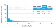 Analysis of a HuProt(TM) microarray containing more than 19,000 full-length human proteins using Prominin-1 antibody (clone PROM/1510). Z- and S- Score: The Z-score represents the strength of a signal that a monoclonal antibody (in combination with a fluorescently-tagged anti-IgG secondary antibody) produces when binding to a particular protein on the HuProt(TM) array. Z-scores are described in units of standard deviations (SD's) above the mean value of all signals generated on that array. If targets on HuProt(TM) are arranged in descending order of the Z-score, the S-score is the difference (also in units of SD's) between the Z-score. S-score therefore represents the relative target specificity of a mAb to its intended target. A mAb is considered to specific to its intended target, if the mAb has an S-score of at least 2.5. For example, if a mAb binds to protein X with a Z-score of 43 and to protein Y with a Z-score of 14, then the S-score for the binding of that mAb to protein X is equal to 29.