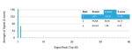 Analysis of a HuProt(TM) microarray containing more than 19,000 full-length human proteins using TCF1 alpha antibody (clone LEF1/6764). Z- and S- Score: The Z-score represents the strength of a signal that a monoclonal antibody (in combination with a fluorescently-tagged anti-IgG secondary antibody) produces when binding to a particular protein on the HuProt(TM) array. Z-scores are described in units of standard deviations (SD's) above the mean value of all signals generated on that array. If targets on HuProt(TM) are arranged in descending order of the Z-score, the S-score is the difference (also in units of SD's) between the Z-score. S-score therefore represents the relative target specificity of a mAb to its intended target. A mAb is considered to specific to its intended target, if the mAb has an S-score of at least 2.5. For example, if a mAb binds to protein X with a Z-score of 43 and to protein Y with a Z-score of 14, then the S-score for the binding of that mAb to protein X is equal to 29.